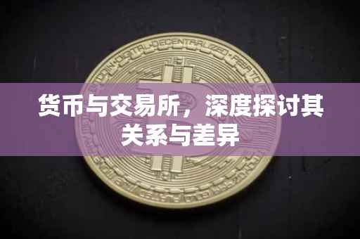 货币与交易所，深度探讨其关系与差异