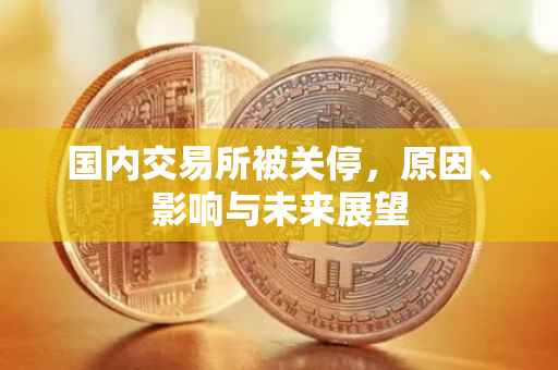 国内交易所被关停，原因、影响与未来展望