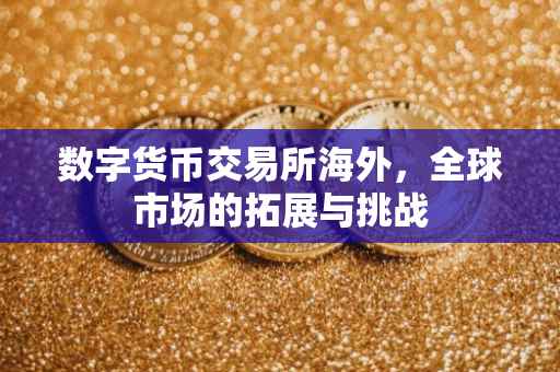 数字货币交易所海外，全球市场的拓展与挑战