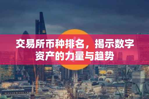 交易所币种排名，揭示数字资产的力量与趋势