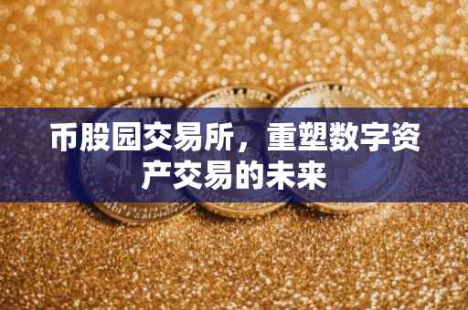 币股园交易所，重塑数字资产交易的未来