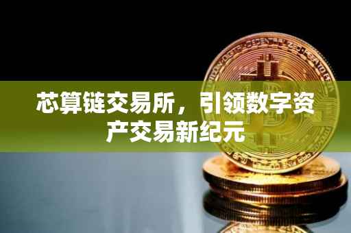 芯算链交易所，引领数字资产交易新纪元