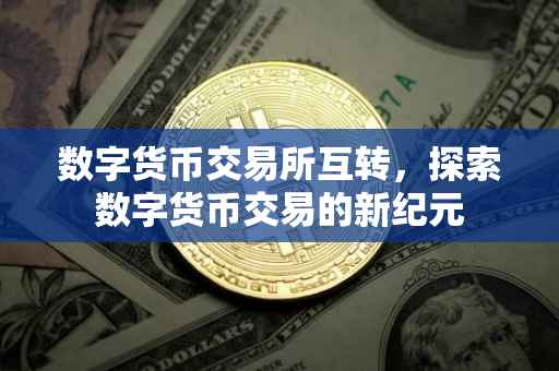 数字货币交易所互转，探索数字货币交易的新纪元