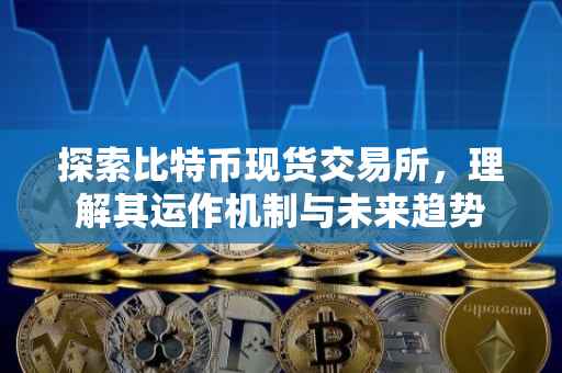 探索比特币现货交易所，理解其运作机制与未来趋势