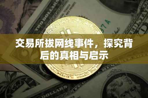 交易所拔网线事件，探究背后的真相与启示