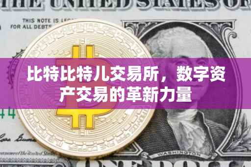 比特比特儿交易所，数字资产交易的革新力量