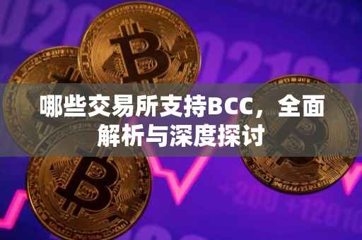 哪些交易所支持BCC，全面解析与深度探讨