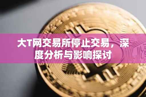 大T网交易所停止交易，深度分析与影响探讨