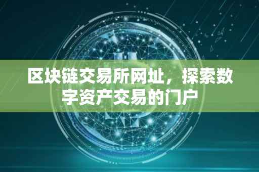 区块链交易所网址，探索数字资产交易的门户