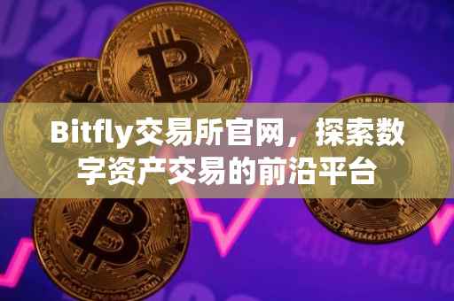 Bitfly交易所官网，探索数字资产交易的前沿平台