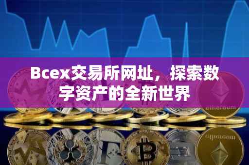 Bcex交易所网址，探索数字资产的全新世界