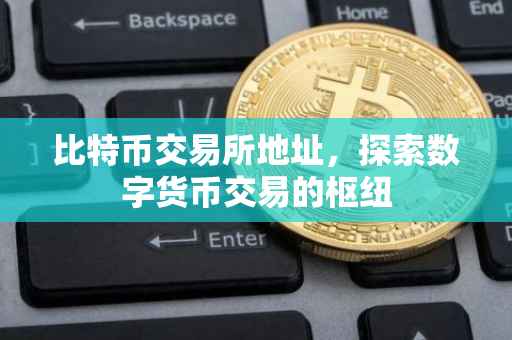 比特币交易所地址，探索数字货币交易的枢纽