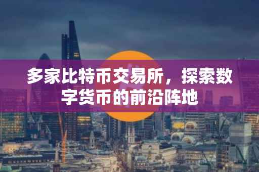 多家比特币交易所，探索数字货币的前沿阵地