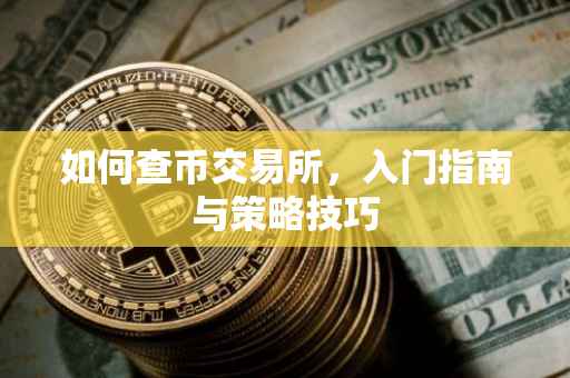 如何查币交易所，入门指南与策略技巧