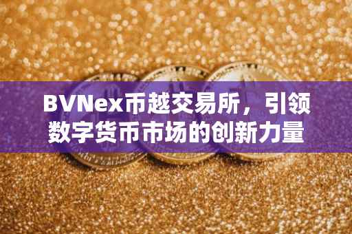 BVNex币越交易所，引领数字货币市场的创新力量