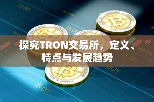 探究TRON交易所，定义、特点与发展趋势