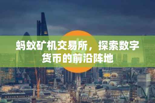 蚂蚁矿机交易所，探索数字货币的前沿阵地