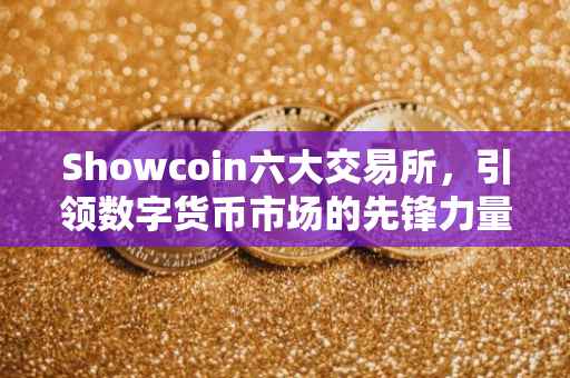 Showcoin六大交易所，引领数字货币市场的先锋力量