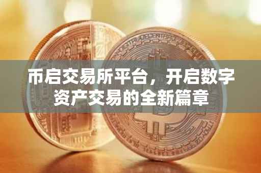 币启交易所平台，开启数字资产交易的全新篇章