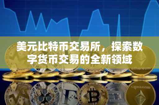 美元比特币交易所，探索数字货币交易的全新领域