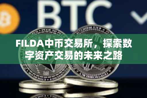 FILDA中币交易所，探索数字资产交易的未来之路
