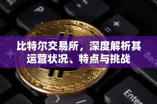 比特尔交易所，深度解析其运营状况、特点与挑战