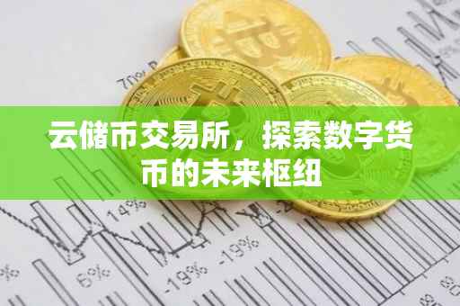 云储币交易所，探索数字货币的未来枢纽