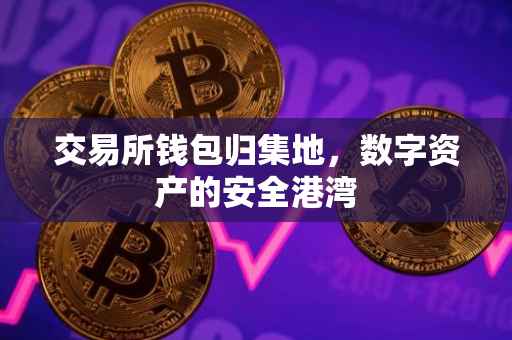 交易所钱包归集地，数字资产的安全港湾