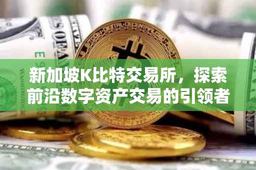 新加坡K比特交易所，探索前沿数字资产交易的引领者