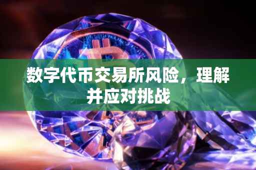 数字代币交易所风险，理解并应对挑战