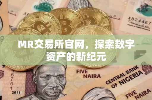 MR交易所官网，探索数字资产的新纪元