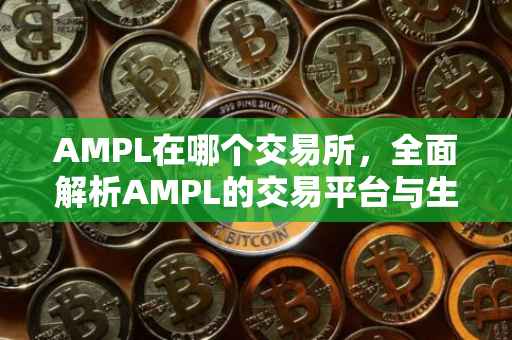 AMPL在哪个交易所，全面解析AMPL的交易平台与生态布局