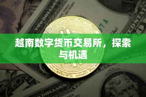 越南数字货币交易所，探索与机遇