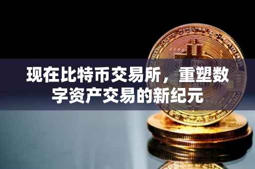 现在比特币交易所，重塑数字资产交易的新纪元
