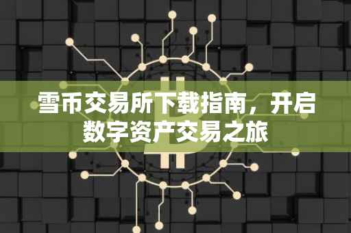 雪币交易所下载指南，开启数字资产交易之旅