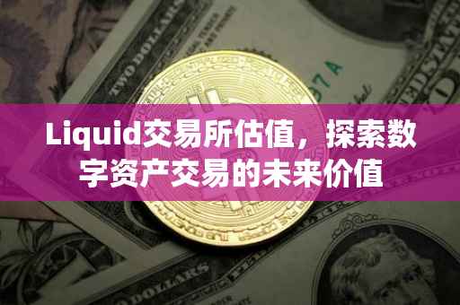 Liquid交易所估值，探索数字资产交易的未来价值