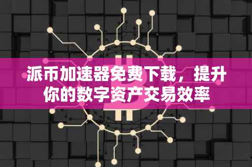 派币加速器免费下载，提升你的数字资产交易效率