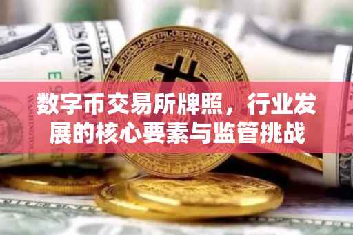 数字币交易所牌照，行业发展的核心要素与监管挑战