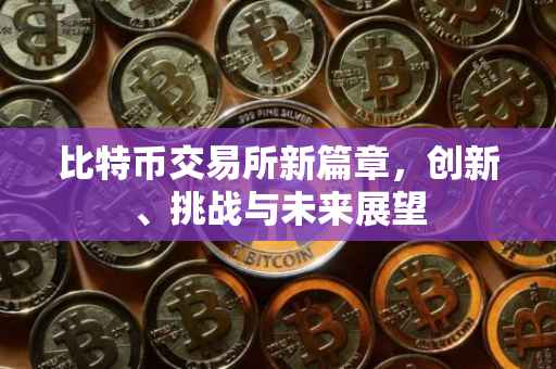 比特币交易所新篇章，创新、挑战与未来展望
