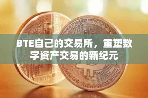 BTE自己的交易所，重塑数字资产交易的新纪元