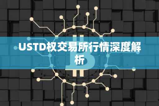 USTD权交易所行情深度解析