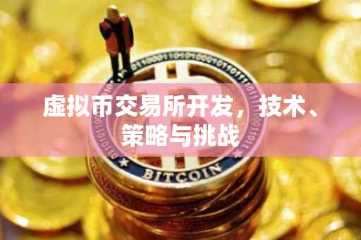 虚拟币交易所开发，技术、策略与挑战