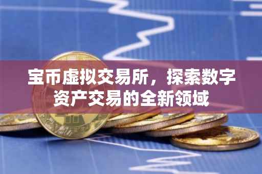 宝币虚拟交易所，探索数字资产交易的全新领域