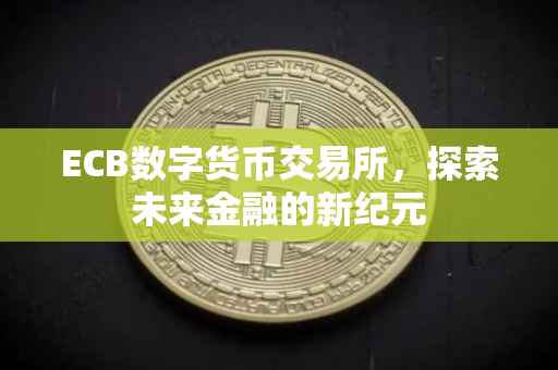 ECB数字货币交易所，探索未来金融的新纪元