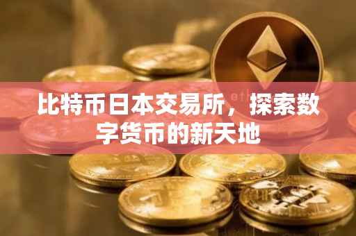 比特币日本交易所，探索数字货币的新天地