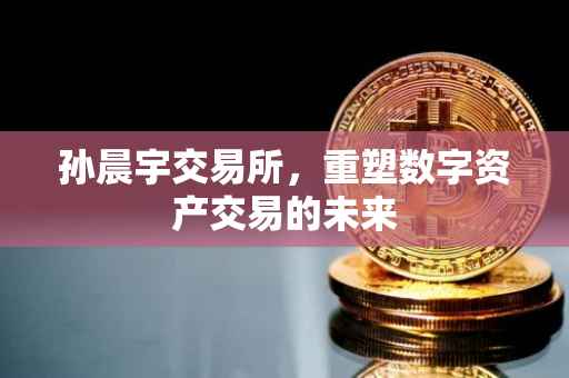 孙晨宇交易所，重塑数字资产交易的未来