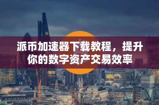 派币加速器下载教程，提升你的数字资产交易效率