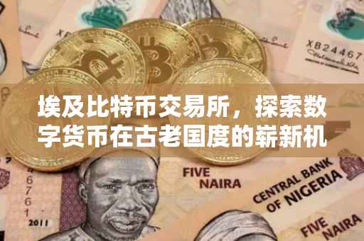 埃及比特币交易所，探索数字货币在古老国度的崭新机遇
