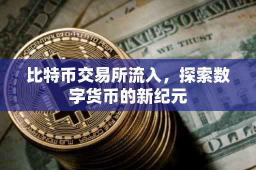 比特币交易所流入，探索数字货币的新纪元