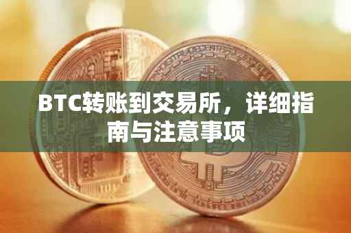 BTC转账到交易所，详细指南与注意事项